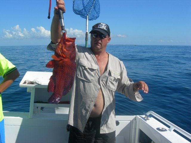 dampier reef